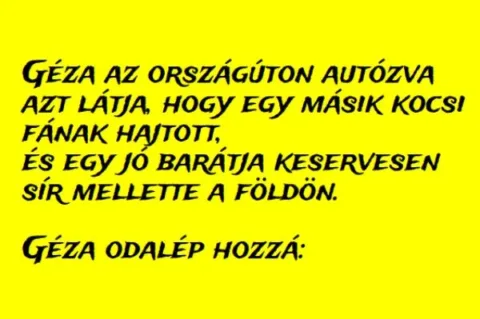 Vicc: Géza az országúton autózva azt látja, hogy egy másik kocsi fának hajtott