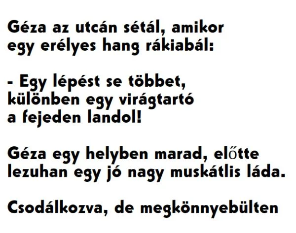 Vicc: Géza az utcán sétál, amikor egy erélyes hang rákiabál: Vicc: Géza az utcán sétál, amikor egy erélyes hang rákiabál: