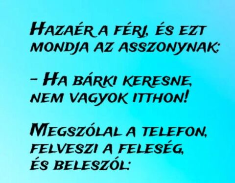 Vicc: Ha bárki keresne, nem vagyok itthon! –