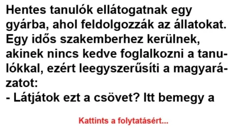 Vicc: Hentes tanulók ellátogatnak egy húsüzembe