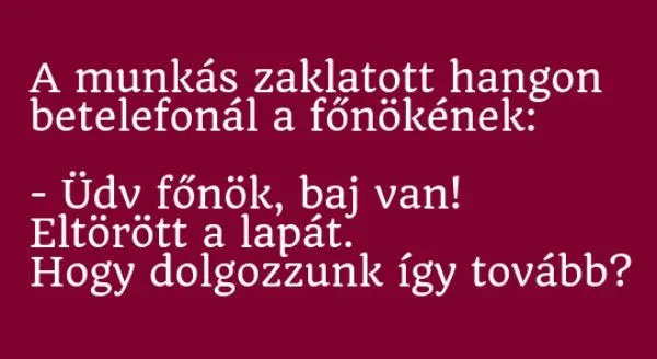 Vicc: Így már mindent értek! - Vicc: Így már mindent értek! –