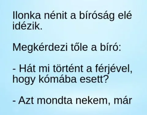 Vicc: Ilonka nénit a bíróság elé idézik. –