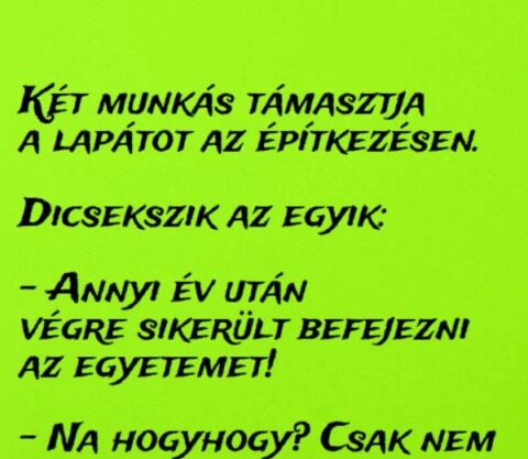Vicc: Két munkás támasztja a lapátot az építkezésen –