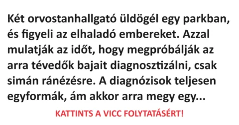 Vicc: Két orvostanhallgató üldögél egy parkban, és figyeli az elhaladó embereket