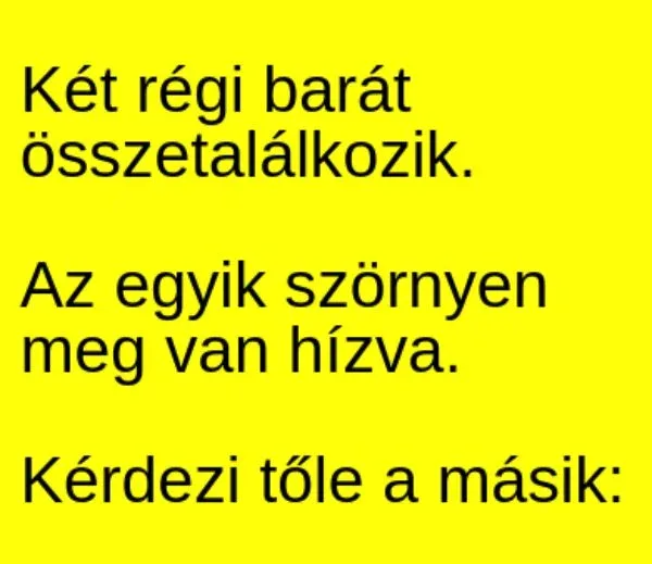 Vicc: Két régi barát összetalálkozik. Látja az egyik, hogy a Vicc: Két régi barát összetalálkozik. Látja az egyik, hogy a másik szörnyen el…