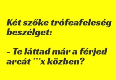 Vicc: Két szőke trófeafeleség beszélget: –