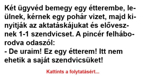 Vicc: Két ügyvéd bemegy egy étterembe