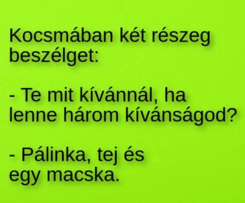 Vicc: Kocsmában két részeg beszélget –