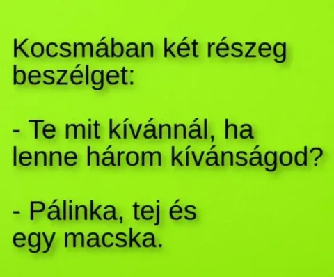 Vicc: Kocsmában két részeg beszélget –