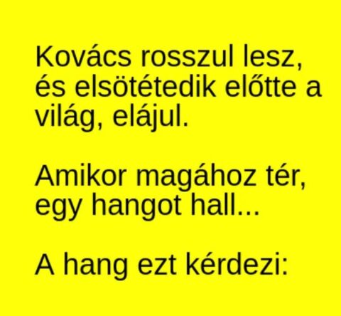Vicc: Kovács rosszul lesz, és elsötétedik előtte a világ, elájul. Amikor magához…