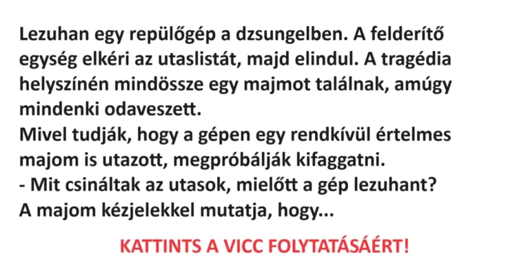Vicc: Lezuhan egy repülőgép a dzsungelben Vicc: Lezuhan egy repülőgép a dzsungelben