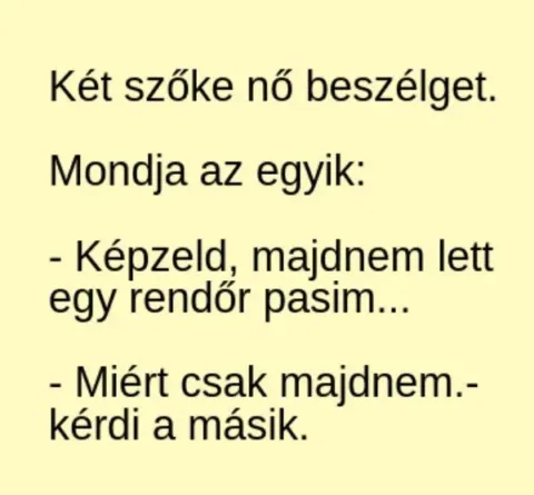 Vicc: Majdnem lett egy rendőr pasim –