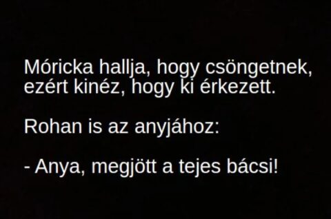 Vicc: Móricka hallja, hogy csöngetnek, kinéz, hogy ki jött –