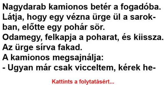 Vicc: Nagydarab kamionos betér a fogadóba Vicc: Nagydarab kamionos betér a fogadóba