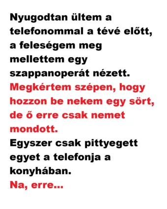 Vicc: Nyugodtan ültem a telefonommal a tévé előtt