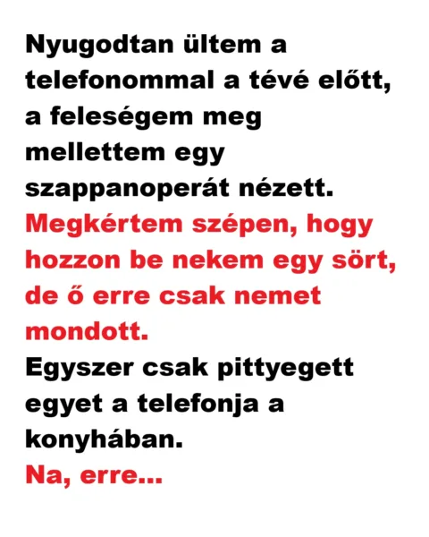 Vicc: Nyugodtan ültem a telefonommal a tévé előtt