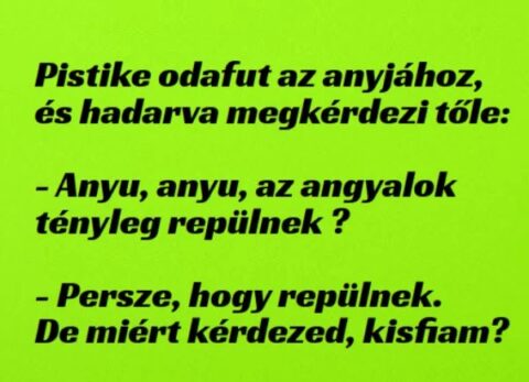 Vicc: Pistike odafut az anyjához, és hadarva megkérdezi tőle: –