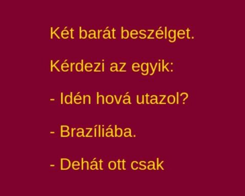Vicc: Út Brazíliába –