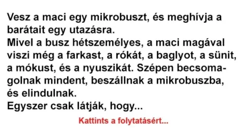 Vicc: Vesz a maci egy mikrobuszt, és meghívja a barátait egy utazásra