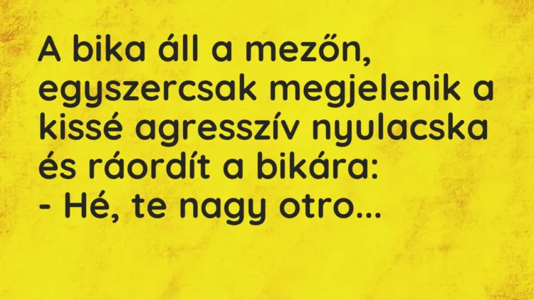Vicc: A bika áll a mezőn, egyszercsak megjelenik a kissé agresszív nyulacska és…