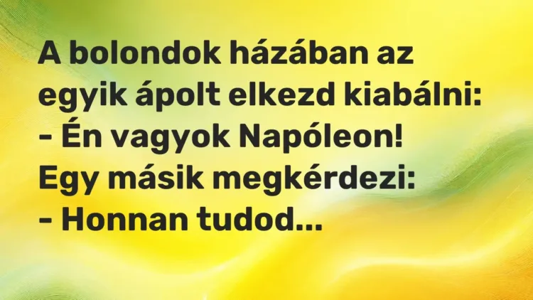 Vicc: A bolondok házában az egyik ápolt elkezd kiabálni:
– Én vagyok… Vicc: A bolondok házában az egyik ápolt elkezd kiabálni:
– Én vagyok…