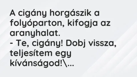 Vicc: A cigány horgászik a folyóparton, kifogja az aranyhalat.

– Te, cigány! Dobj…