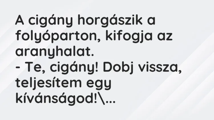 Vicc: A cigány horgászik a folyóparton, kifogja az aranyhalat.
– Te, cigány! Dobj… Vicc: A cigány horgászik a folyóparton, kifogja az aranyhalat.
– Te, cigány! Dobj…