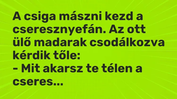 Vicc: A csiga mászni kezd a cseresznyefán. Az ott ülő madarak csodálkozva kérdik… Vicc: A csiga mászni kezd a cseresznyefán. Az ott ülő madarak csodálkozva kérdik…
