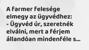 Vicc: A farmer felesége elmegy az ügyvédhez: – Ügyvéd úr, szeretnék elválni, mert…