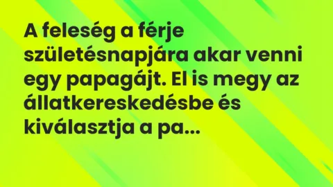 Vicc: A feleség a férje születésnapjára akar venni egy papagájt. El is megy az…