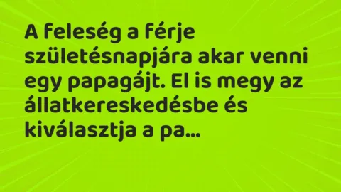 Vicc: A feleség a férje születésnapjára akar venni egy papagájt. El is megy az…