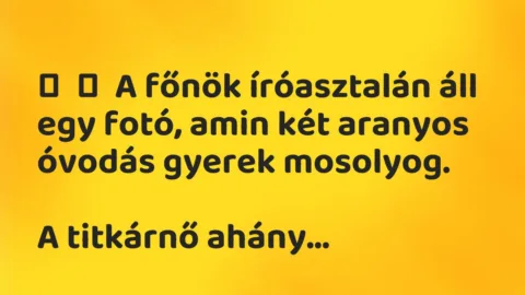 Vicc: 
	    	    A főnök íróasztalán áll egy fotó, amin két aranyos óvodás gyerek…