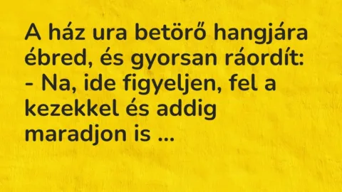 Vicc: A ház ura betörő hangjára ébred, és gyorsan ráordít:

– Na, ide figyeljen,…