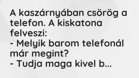 Vicc: A kaszárnyában csörög a telefon. A kiskatona felveszi:
– Melyik barom… Vicc: A kaszárnyában csörög a telefon. A kiskatona felveszi:
– Melyik barom…