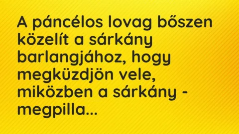 Vicc: A páncélos lovag bőszen közelít a sárkány barlangjához, hogy megküzdjön vele,…