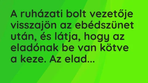 Vicc: A ruházati bolt vezetője visszajön az ebédszünet után, és látja, hogy az…