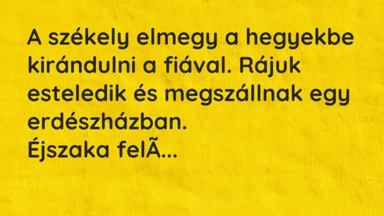 Vicc: A székely elmegy a hegyekbe kirándulni a fiával. Rájuk esteledik és megszállnak… Vicc: A székely elmegy a hegyekbe kirándulni a fiával. Rájuk esteledik és megszállnak…