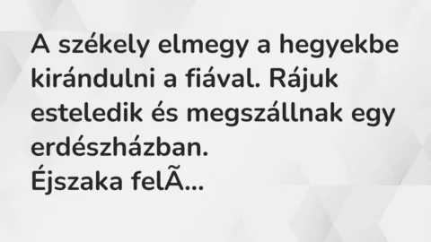 Vicc: A székely elmegy a hegyekbe kirándulni a fiával. Rájuk esteledik és megszállnak…
