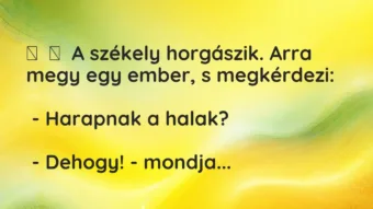 Vicc: A székely horgászik. Arra megy egy ember, s megkérdezi: -…