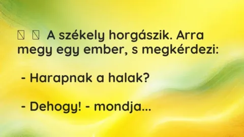 Vicc: 
	    	    A székely horgászik. Arra megy egy ember, s megkérdezi:


 -…