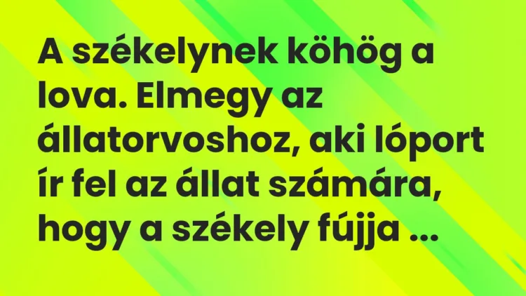 Vicc: A székelynek köhög a lova. Elmegy az állatorvoshoz, aki lóport ír fel az állat…