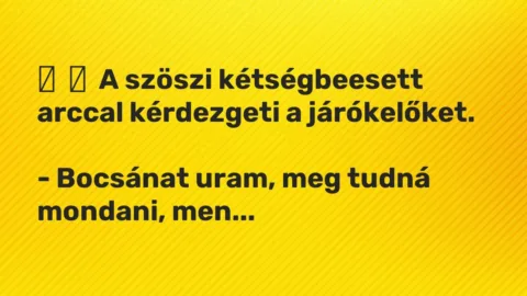 Vicc: 
	    	    A szöszi kétségbeesett arccal kérdezgeti a járókelőket.


-…