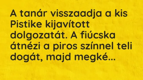 Vicc: A tanár visszaadja a kis Pistike kijavított dolgozatát. A fiúcska átnézi a piros…