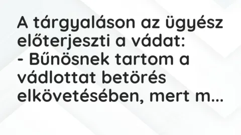 Vicc: A tárgyaláson az ügyész előterjeszti a vádat:

– Bűnösnek tartom a vádlottat…