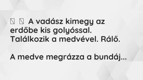 Vicc: 
	    	    A vadász kimegy az erdőbe kis golyóssal. Találkozik a medvével….
