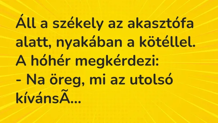 Vicc: Áll a székely az akasztófa alatt, nyakában a kötéllel. A hóhér… Vicc: Áll a székely az akasztófa alatt, nyakában a kötéllel. A hóhér…