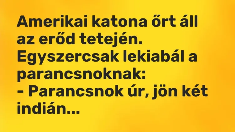Vicc: Amerikai katona őrt áll az erőd tetején. Egyszercsak lekiabál a… Vicc: Amerikai katona őrt áll az erőd tetején. Egyszercsak lekiabál a…
