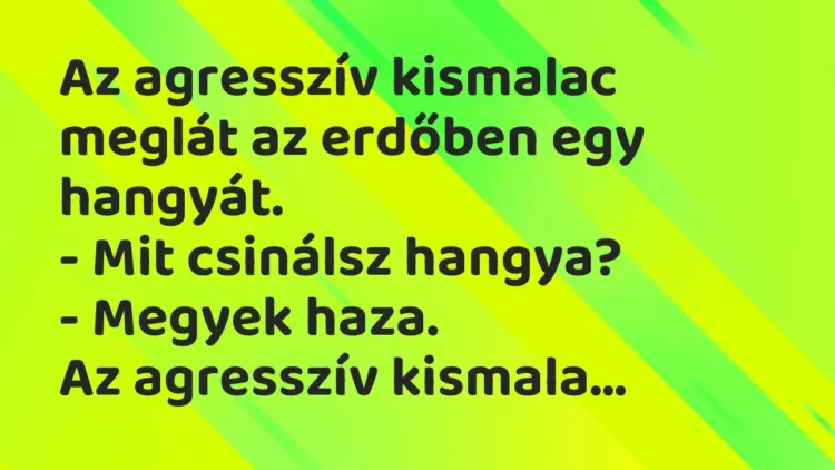 Vicc: Az agresszív kismalac meglát az erdőben egy hangyát.
– Mit csinálsz… Vicc: Az agresszív kismalac meglát az erdőben egy hangyát.
– Mit csinálsz…