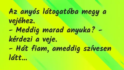 Vicc: Az anyós látogatóba megy a vejéhez.

– Meddig marad anyuka? – kérdezi a…