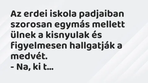 Vicc: Az erdei iskola padjaiban szorosan egymás mellett ülnek a kisnyulak és… Vicc: Az erdei iskola padjaiban szorosan egymás mellett ülnek a kisnyulak és…